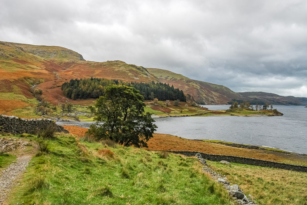 Castle Crag Castle Crag